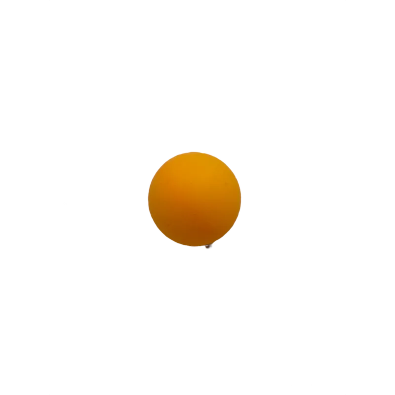 Prince Bosaite Ball | Ball for Kids & Sports Play