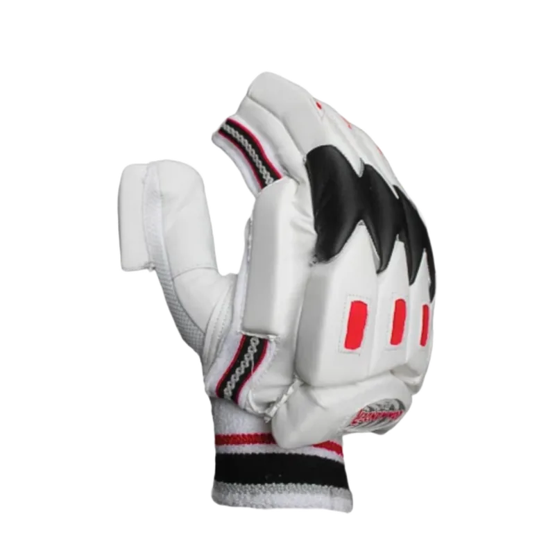 BDM Cricket Batting Glove Commander 1 Pair Standard Multicolor