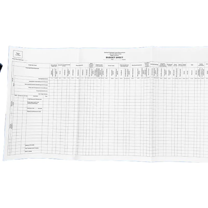 Budget Sheets 1 Pack