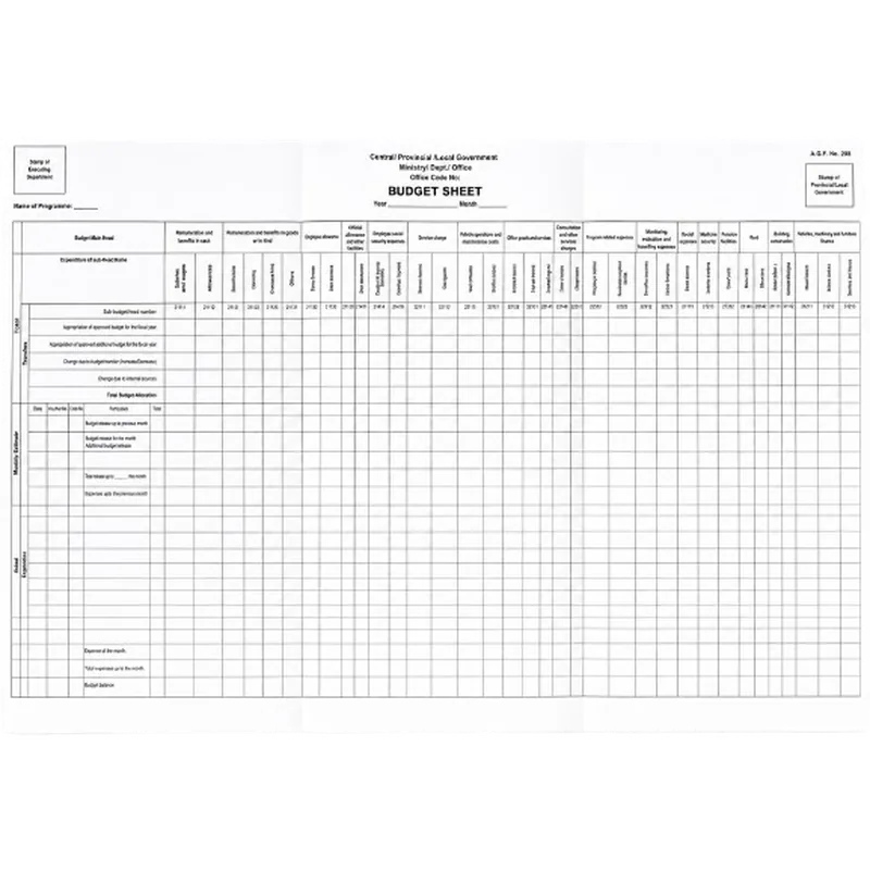 Budget Sheets 1 Pack