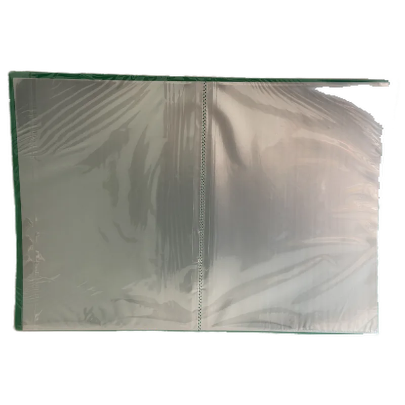 Clear Holder Files FC 40 Sheets Green