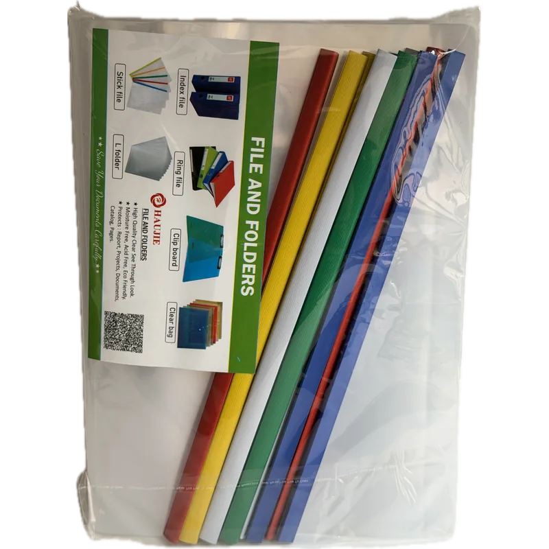 Haujie Clear Stick Files A4 1 Packet( 10 Piece) White