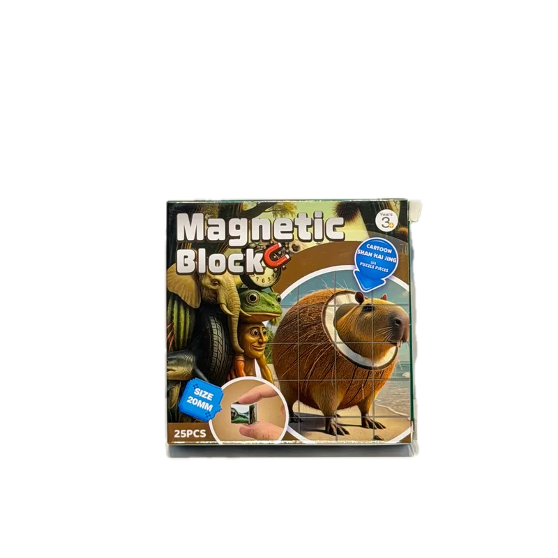 Magnetic Blocks No. 2031 1 Pack 20 mm Multicolor
