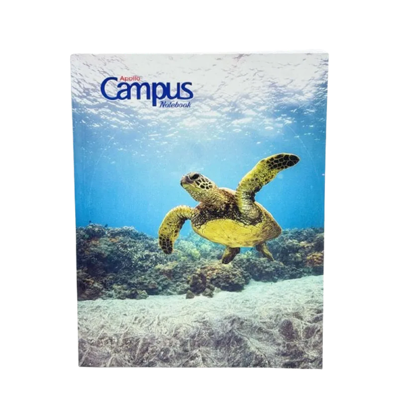Apollo Campus Copy A4 Writing Notebook 30 Duplex Single Line 60 Pages 58