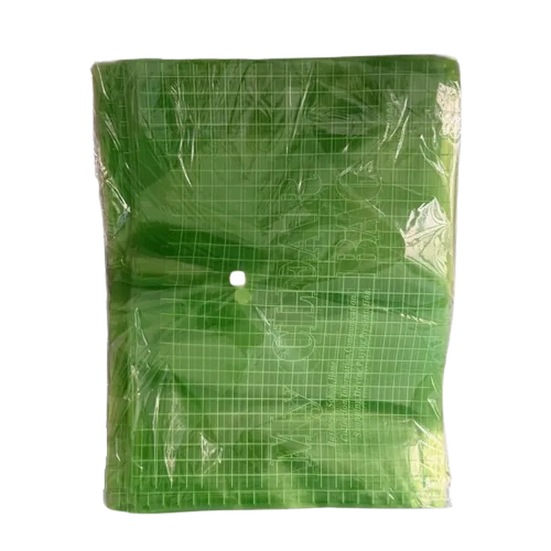 My Clear Bags A4 Green 1 Pack